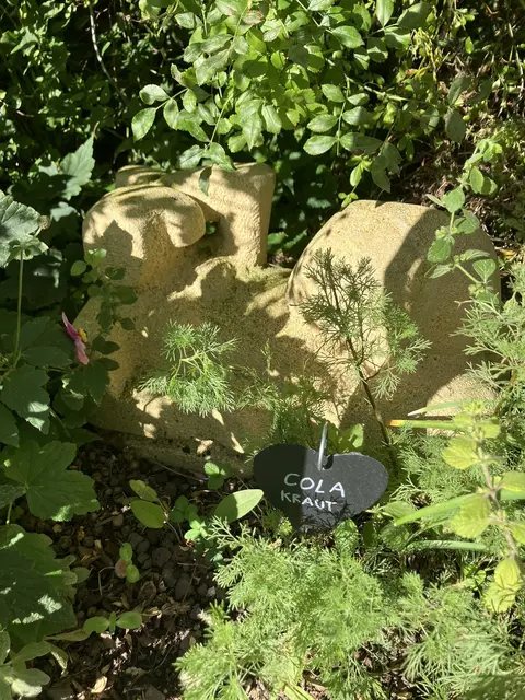 Foto: Tigergarten