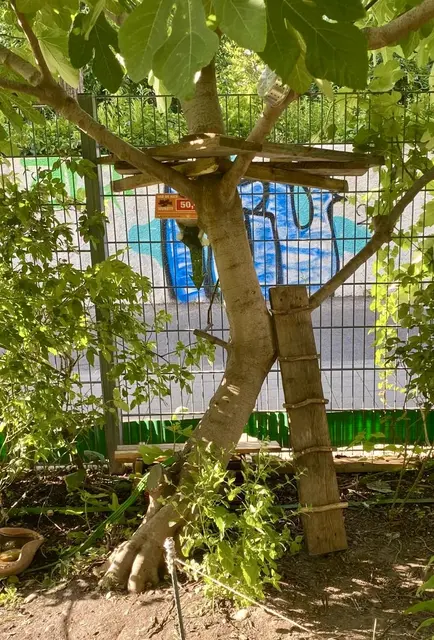 Foto: Tigergarten