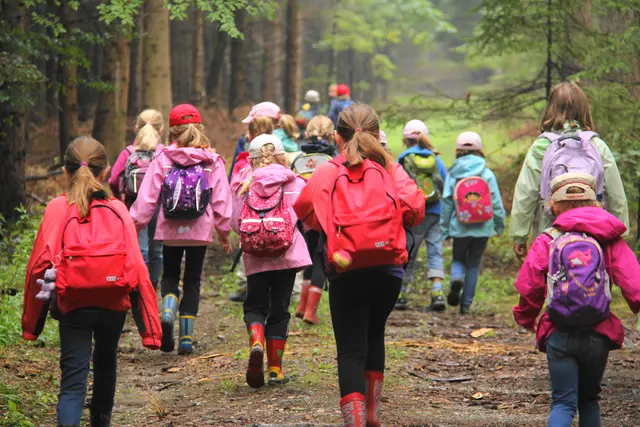 Kinder entdecken gemeinsam die Natur und verbringen Zeit im Wald. | Foto: MeinBezirk