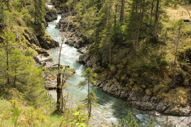 Der Namlosbach fließt unberührt in Richtung des Lech. | Foto: WWF/Reinhard Uhrig