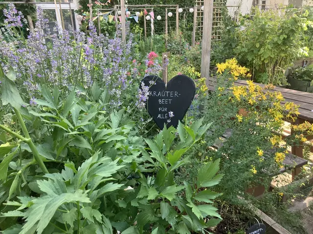 Foto: Tigergarten