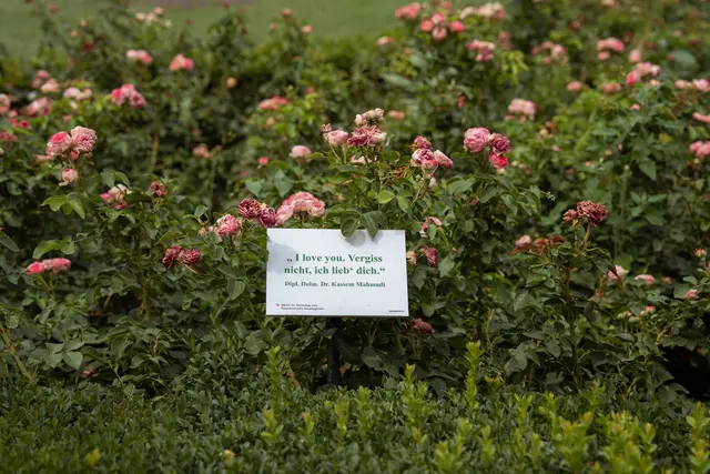 Wer möchte, kann eine Rosenpatenschaft übernehmen und dabei auch eine für alle Besucher sichtbare Botschaft anbringen lassen. | Foto: Sade Jerabek/MeinBezirk