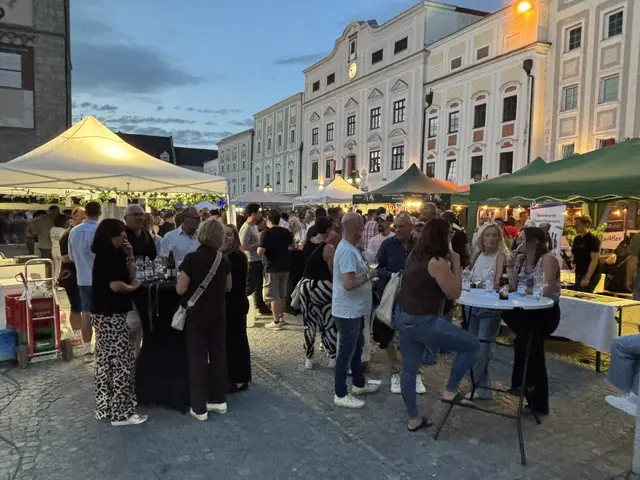 Foto: MeinBezirk Linz-Land