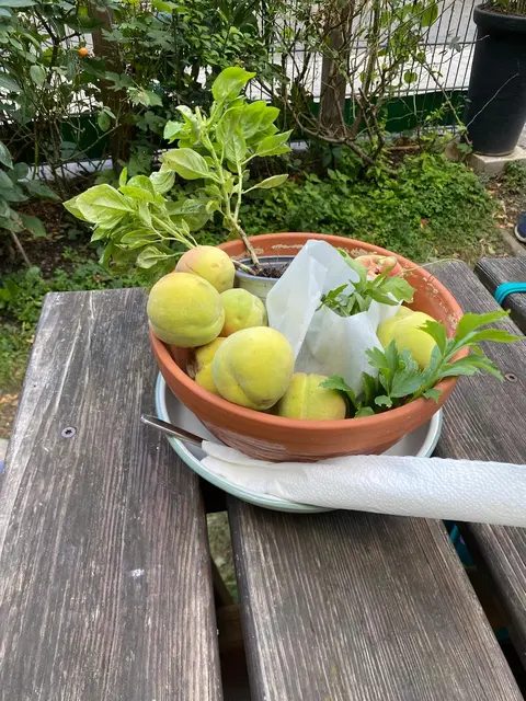 Foto: Tigergarten