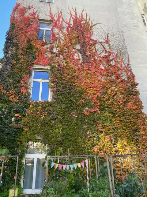 Foto: Tigergarten