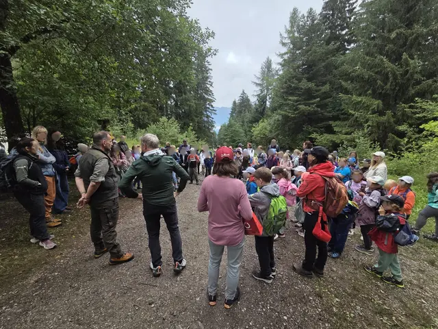 Gemeinsam den Wald entdecken: Das konnten die Volksschülerinnen und Schüler aus Mutters.  | Foto: KEM Westliches Mittelgebirge 