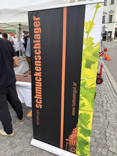 Foto: MeinBezirk Linz-Land