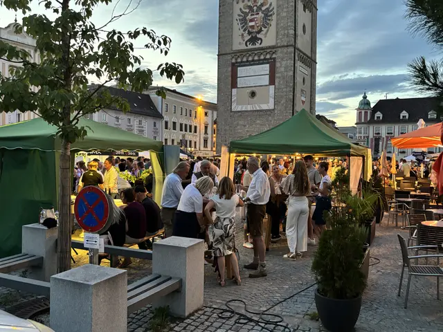 Foto: MeinBezirk Linz-Land