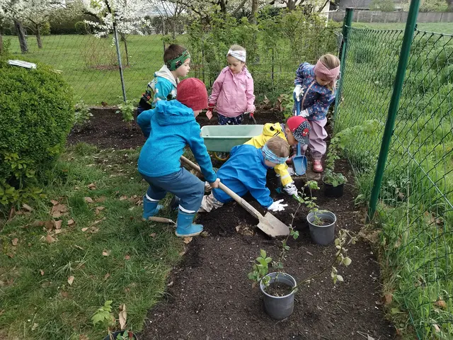 Die Kleinen legten im Kindergarten in Bierbaum eine Naschecke an.