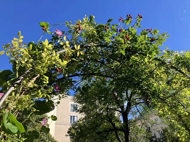 Foto: Tigergarten