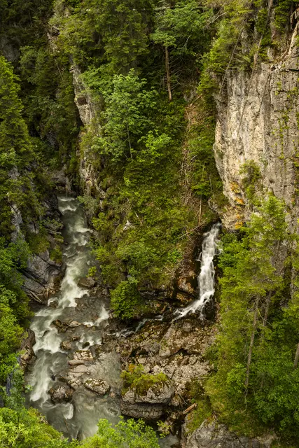 Ein Blick in die Schlucht des Namlosbachs. | Foto: WWF/Reinhard Uhrig