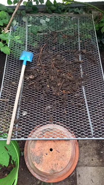 Foto: Tigergarten