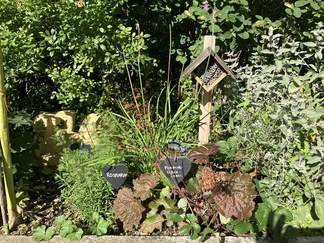 Foto: Tigergarten