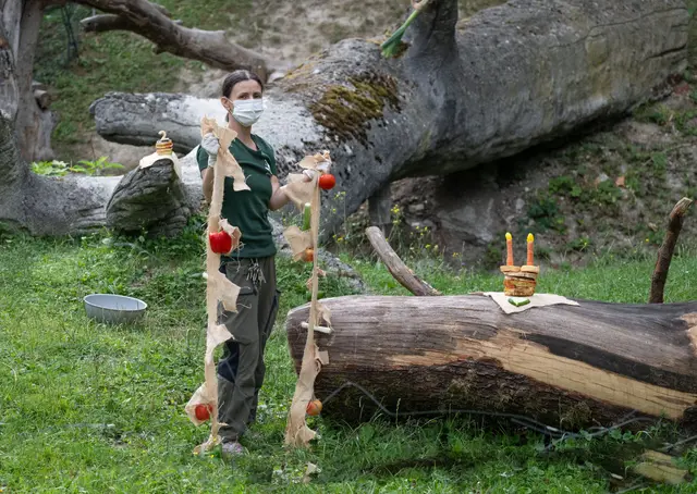 Foto: Zoo Schmiding / Sterns