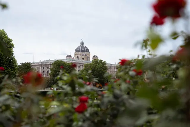 Nicht nur für Touristen sehenswert: der Volksgarten in der Wiener Innenstadt. | Foto: Sade Jerabek/MeinBezirk