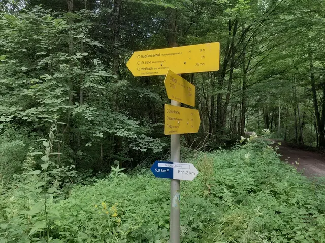 Viele Wege gibt's in der Marzoller Au  | Foto: H.Bachinger