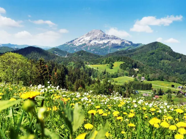 Nachhaltige Strategie für den Tourismus in der Region rund um den Naturpark Ötscher-Tormäuer
 | Foto: Naturpark Ötscher-Tormäuer