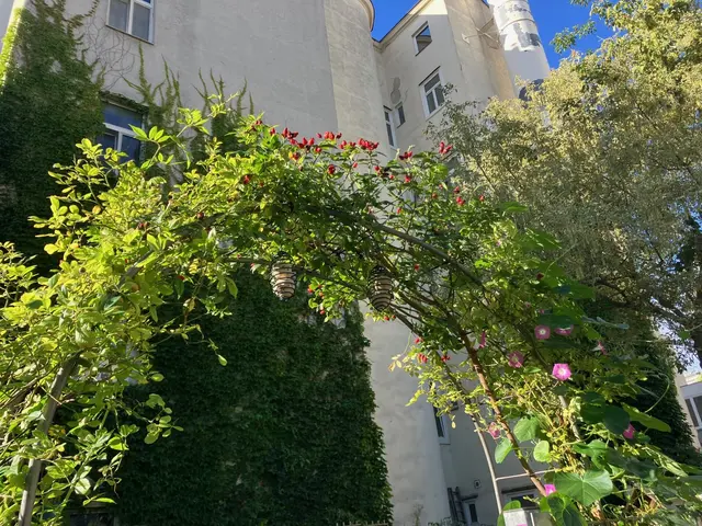 Foto: Tigergarten
