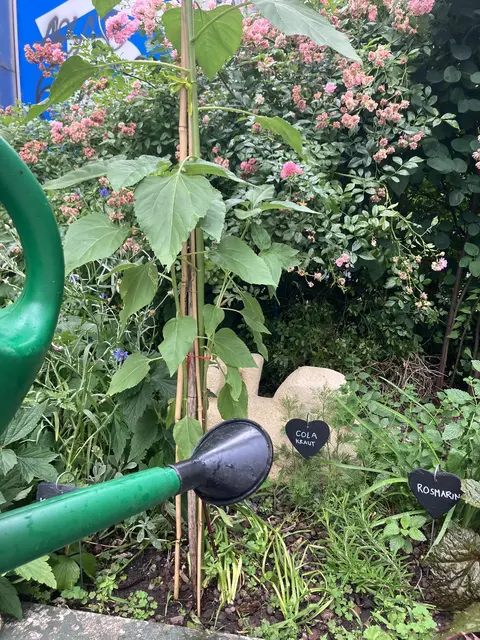 Foto: Tigergarten