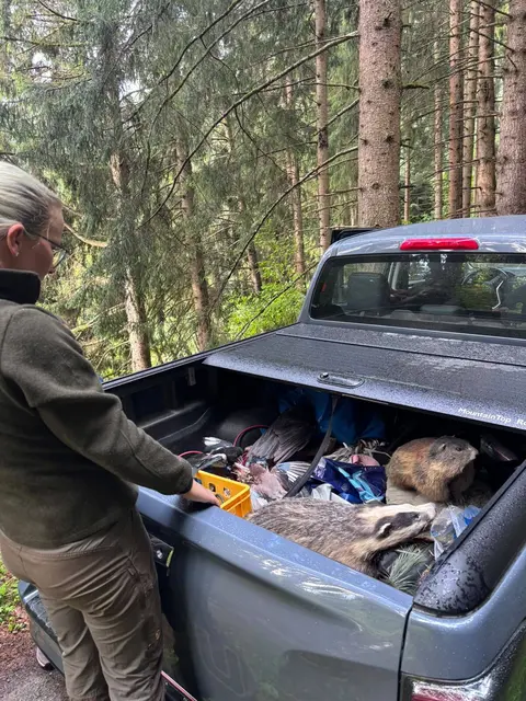 Bei den Stationen konnten auch Waldtiere kennengelernt werden.  | Foto: KEM Westliches Mittelgebirge