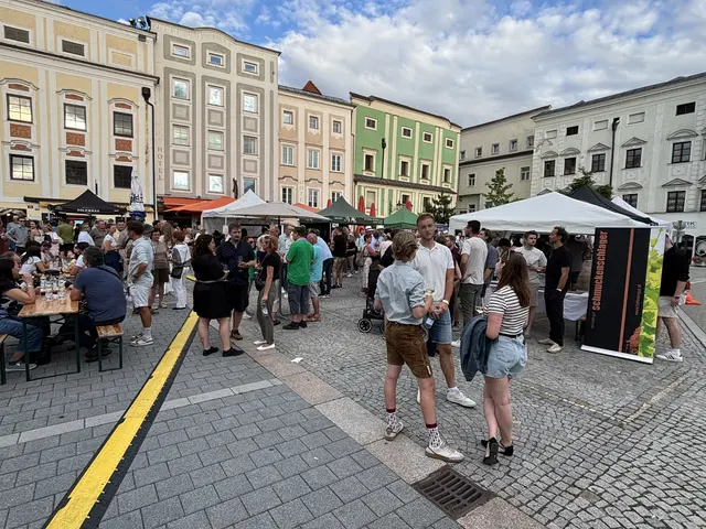 Foto: MeinBezirk Linz-Land