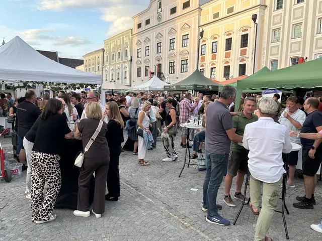 Foto: MeinBezirk Linz-Land
