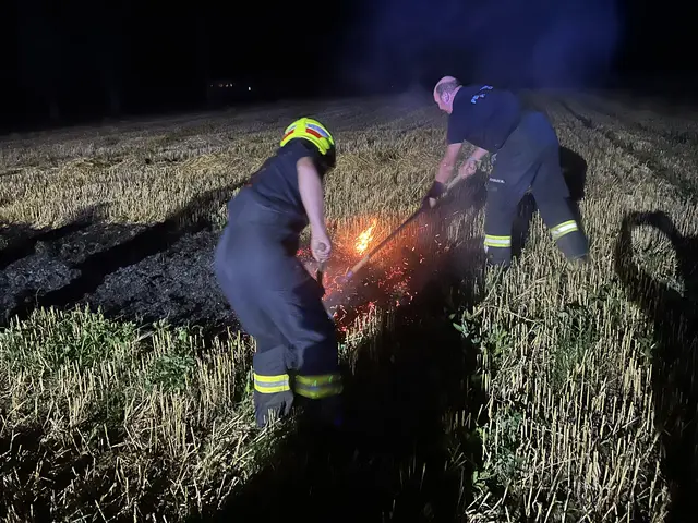 Die Einsatzkräfte der Feuerwehren Haizing und Oed in Bergen löschten den Feldbrand. | Foto: FF Haizing