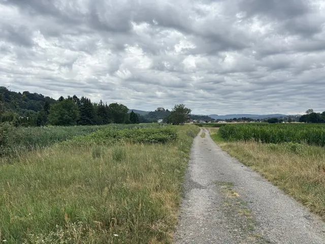 Auf rund vier Hektar Fläche kann sich die Große Tulln bald ausweiten. | Foto: Lauren Fahrenberger / MeinBezirk