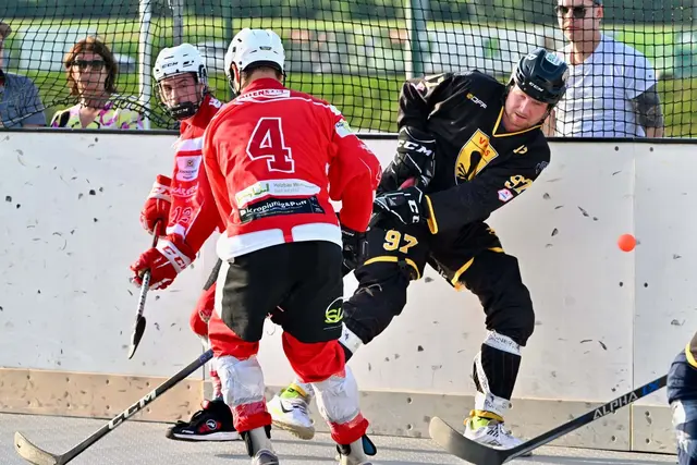Nach Platz zwei im Grunddurchgang ist die Mannschaft bereit für die Playoffs und den Angriff auf den Titel. | Foto: ÖBHV