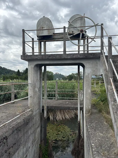 Die Wehr in Emmersdorf wird abgetragen, damit der Fluss wieder ungestört fließen und die Fische wandern können. | Foto: Lauren Fahrenberger / MeinBezirk