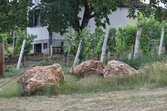 Foto: MeinBezirk/Michael Strini