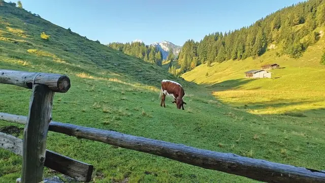 Foto: LWK Salzburg