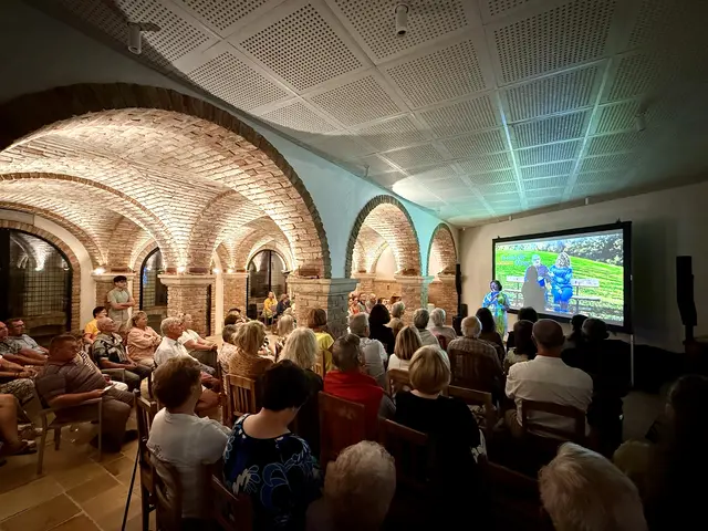 Es war bereits das fünfte Sommerkino der FREDA und der Grünen Burgenland in Winden am See. | Foto: Die Grünen Burgenland