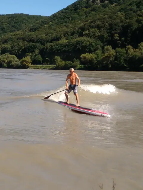 Die Donau ist vielleicht keine Spielwiese, aber eine Wasserstraße, die zum Teil zum Baden, zum Stand-up-Paddeln oder einfach nur zum Genießen vom Ufer aus taugt. | Foto: Spiegl