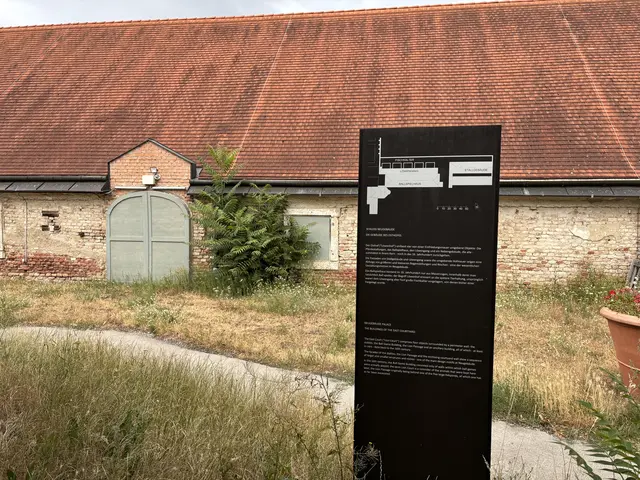 Im Ballspielhaus will der neue Pächter den Boden rundum erneuern.    | Foto: Luca Arztmann/MeinBezirk
