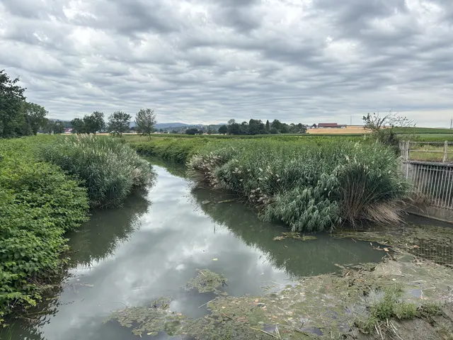 Die Große Tulln beginnt ab dem Zusammenfluss mit dem Anzbach. | Foto: Lauren Fahrenberger / MeinBezirk