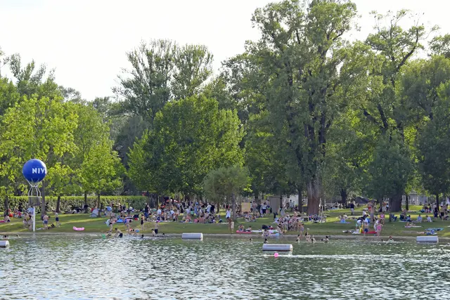 Am Samstagvormittag kam es im beliebten Strandbad Gänsehäufel zu einem schweren Badeunfall. (Archiv) | Foto: APA-Images / Willfried Gredler-Oxenbauer