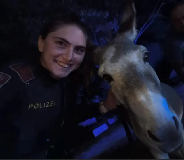 Geht beiden gut: Polizeibeamtin als Tierretterin und verirrter Esel als Geretteter. | Foto: LPD Wien