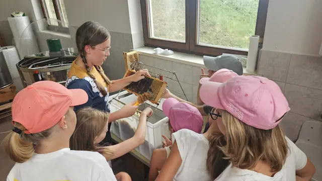 Von der Blüte aufs Brot – ein süßes Ferienabenteuer für junge Entdecker*innen!
28 neugierige Kids tauchten beim Bromberger Ferienspiel unter dem Motto „Von der Blüte aufs Brot“ am Imkereibetrieb Hubert Piribauer in die faszinierende Welt der Honigbienen ein.
Es wurde fleißig Waben entdeckelt, Honig geschleudert, Gläser abgefüllt und sogar ein Blick in den Bienenstock gewagt.
Fotocredit: Imkerei Piribauer | Foto: Martina Piribauer