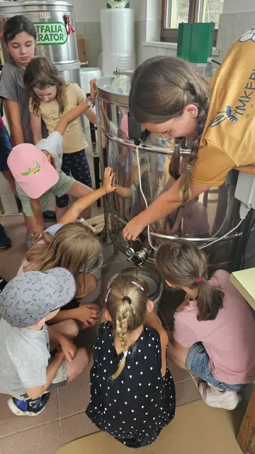 Von der Blüte aufs Brot – ein süßes Ferienabenteuer für junge Entdecker*innen!
28 neugierige Kids tauchten beim Bromberger Ferienspiel unter dem Motto „Von der Blüte aufs Brot“ am Imkereibetrieb Hubert Piribauer in die faszinierende Welt der Honigbienen ein.
Es wurde fleißig Waben entdeckelt, Honig geschleudert, Gläser abgefüllt und sogar ein Blick in den Bienenstock gewagt.
Fotocredit: Imkerei Piribauer | Foto: Martina Piribauer