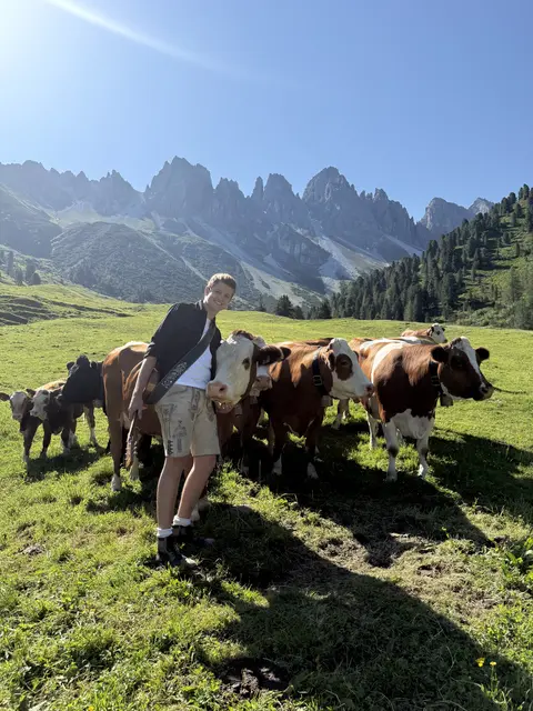 Die Kühe wurden zu einer etwas anderen Herausforderung. | Foto: Volksbeat