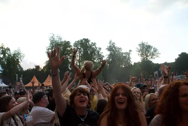 Moshpits, Crowdsurfer und Mitsingmomente prägten die Atmosphäre beim Forestglade Festival. | Foto: Dorottya Fejes/MeinBezirk