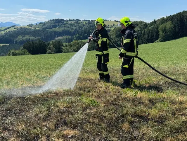 Aufgrund der anhaltenden Trockenheit wurde beim Alarm zunächst vom Schlimmsten ausgegangen. Der Brand konnte jedoch rasch unter Kontrolle gebracht werden. | Foto: Feuerwehr Hofstetten-Grünau