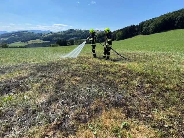 Rund 20 Quadratmeter Freifläche standen in Brand. Der Einsatz konnte nach etwa einer Stunde erfolgreich abgeschlossen werden. | Foto: Feuerwehr Hofstetten-Grünau