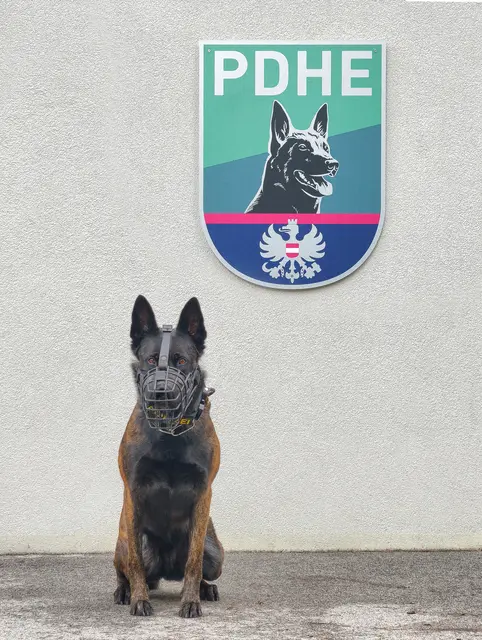 Spezialspürhündin Karla fand die Schusswaffen. | Foto: LPD Wien