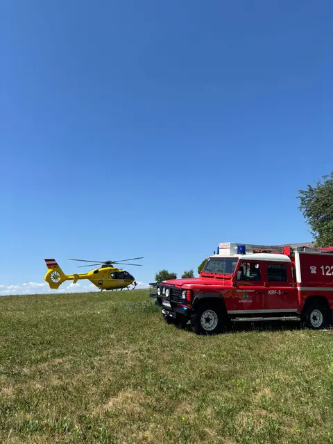 Rund 50 Feuerwehrmitglieder standen nach dem Kutschenunfall in Neustadtl an der Donau im Einsatz. | Foto: Bfkdo Amstetten