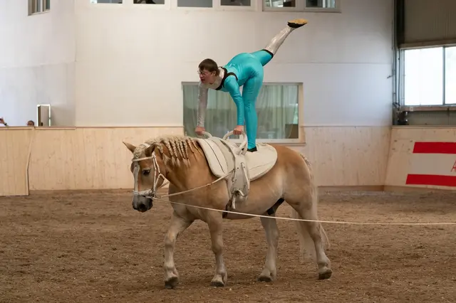 Foto: Porsche Reitclub Zell am See
