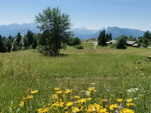 Tennengebirge, Watzmann,  Untersberg  | Foto: H.Bachinger