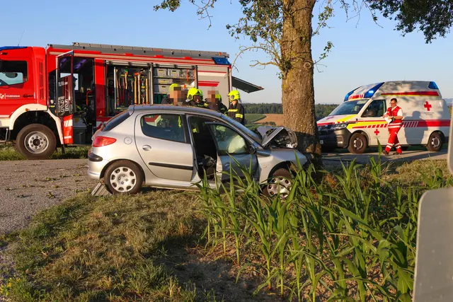 Foto: laumat/Matthias Lauber