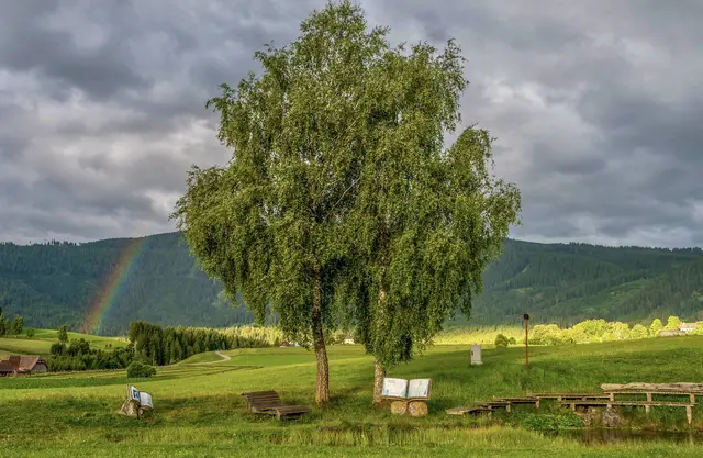 Sonne, sommerliche Temperaturen und nur wenige Wolken prägen den Wochenstart. Danach wird das Wetter unbeständiger und Gewitter stehen wieder auf dem Programm.
 | Foto: Werner Lückl